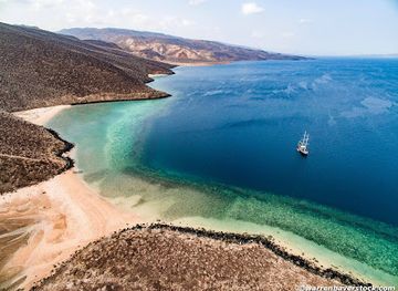 djibouti/petit-bara-desert/attraction/dolphin-excursions-djibouti