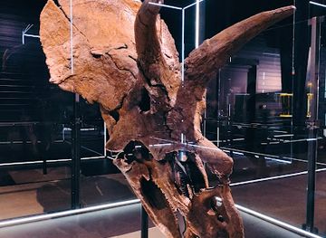 denmark/lolland/attraction/evolution-museet