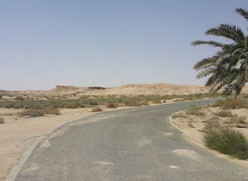 kuwait/sabah-al-salem/attraction/sabah-al-ahmad-natural-reserve