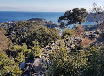 japan/tsushima/attraction/mt-ariake