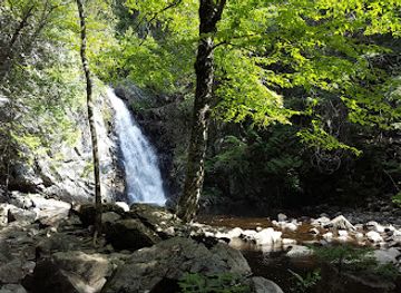 maine/sugarloaf-mountain/attraction/poplar-hut