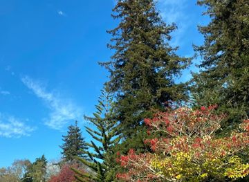 new-zealand/whanganui/attraction/james-mcgregor-memorial-park