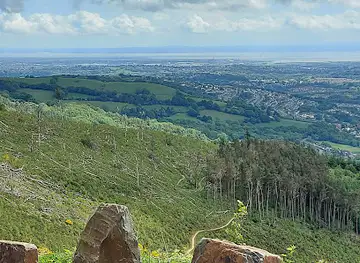 Cwmcarn Forest