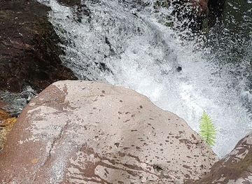 honduras/olancho-region/attraction/el-chorro