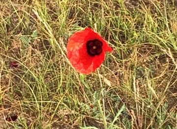 uzbekistan/aydarkul-lake/attraction/aydarkul-ngmk