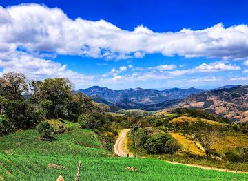 nicaragua/matagalpa-coffee-region/attraction/reserva-natural-cerro-arenal