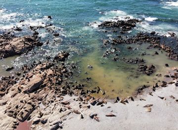 uruguay/valizas/attraction/isla-rasa