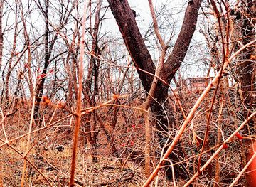 kansas/flint-hills/attraction/island-park-nature-trail