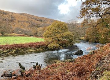 united-kingdom/isle-of-mull/attraction/forest-river-walk
