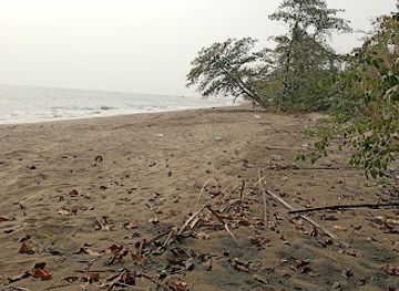 cameroon/limbe-beach/attraction/enyenge