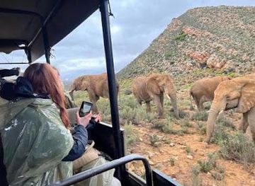 south-africa/cape-town/attraction/t4c-south-african-tours