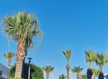 cyprus/larnaca/attraction/mackenzie