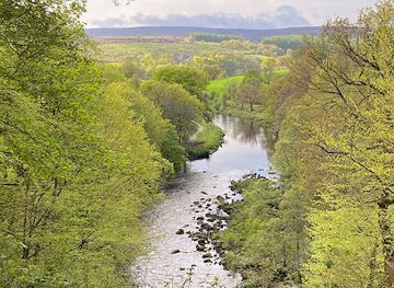 united-kingdom/yorkshire-dales-national-park/attraction/the-strid