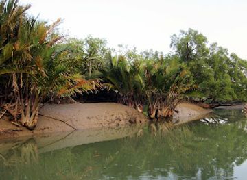 bangladesh/sundarbans-national-park/attraction/hiron-point