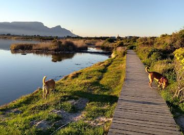 south-africa/cape-peninsula/attraction/zandvlei-estuary-nature-reserve