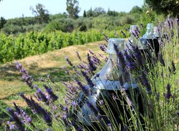 monaco/la-rousse/attraction/vignoble-rasse-saint-jeannet-vindazur