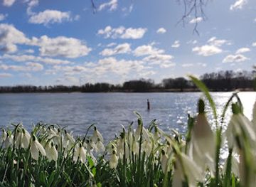 netherlands/alblasserwaard/attraction/sliedrechtse-biesbosch