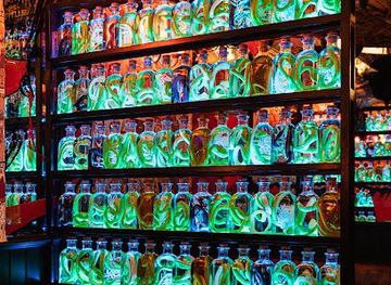 spain/madrid/attraction/salmon-guru-a-contracorriente