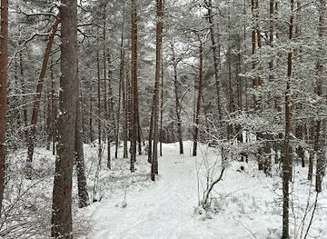 finland/turku-archipelago/attraction/luolavuori-glacial-erratic-boulder