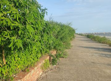 bangladesh/chittagong-hill-tracts/attraction/khejurtola-tourist-area