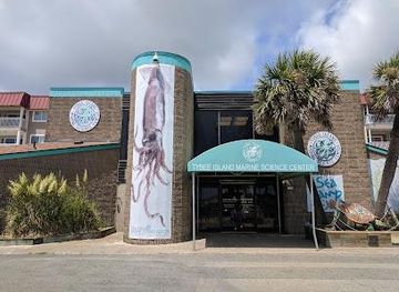 south-carolina/beaufort/attraction/tybee-island-marine-science-center