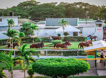 jamaica/portmore/attraction/caymanas-park