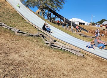 alabama/cullman/attraction/4d-farm