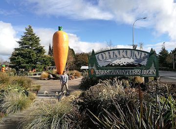 new-zealand/manawatu-wanganui/attraction/ohakune-carrot-adventure-park