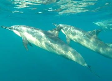 mauritius/trou-aux-cerfs/attraction/jph-charters-point-of-embarkation