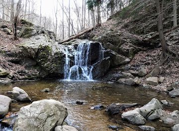 maryland/patapsco-valley-state-park/attraction/patapsco-valley-state-park-avalon-area