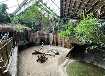 canada/greater-toronto-area/attraction/african-rainforest-pavilion