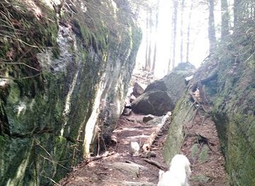 vermont/sugarbush-resort/attraction/hedgehog-brook-trailhead