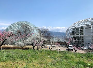 japan/yamanashi/attraction/lovers-sanctuary-fuefukigawa-fruit-park