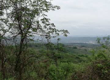 ecuador/manabi-region/attraction/cerro-hojas-jaboncillo-museo-de-sitio-picoza-manabi-ecuador