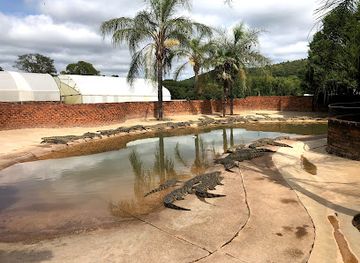 south-africa/waterberg/attraction/lalele-crocodile-farm