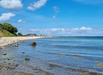 denmark/sonderjylland/attraction/hans-der-fischer