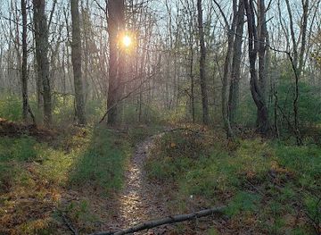 rhode-island/arcadia-management-area/attraction/arcadia-barrens