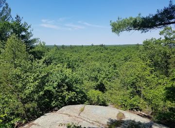 massachusetts/the-islands/attraction/f-gilbert-hills-state-forest