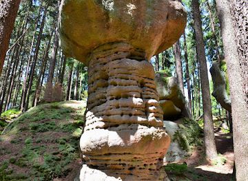poland/stolowe-mountains/attraction/skalne-grzyby-w-pn-gor-stolowych
