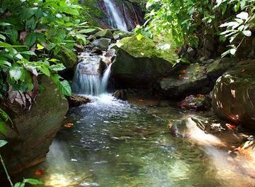 puerto-rico/bayamon/attraction/rocaliza-adventure-tours