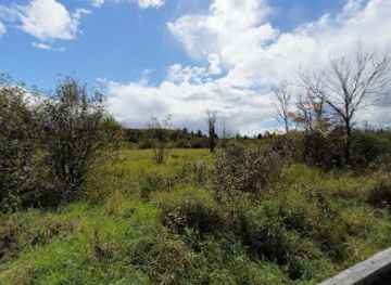 canada/haliburton-highlands/attraction/minden-boardwalk