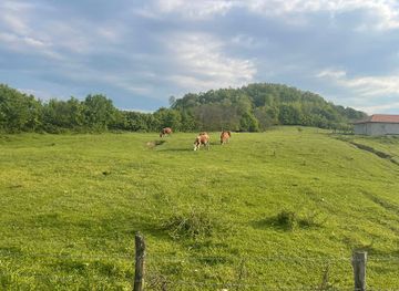 kosovo/peja/attraction/dallashaj