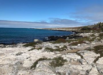 ecuador/puerto-ayora/attraction/south-plaza-island