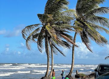 trinidad-and-tobago/sangre-grande/attraction/molly-s-point