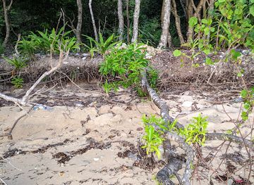 indonesia/banda-islands/attraction/sabla-pante