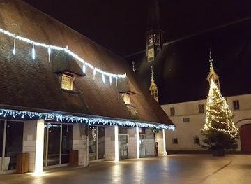 france/dijon/attraction/pl-de-la-halle