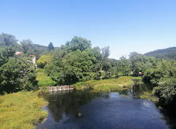 Carballeira de Caldas de Reyes