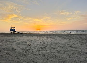 texas/south-texas/attraction/port-aransas