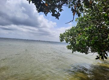 florida/cocoa-beach/attraction/hammock-cove