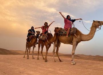 morocco/marrakech/attraction/marrakech-outdoor